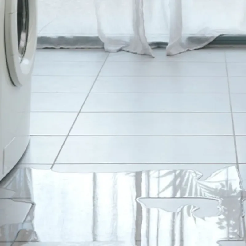 Appliance Leak Cleanup in San Carlos Park, FL