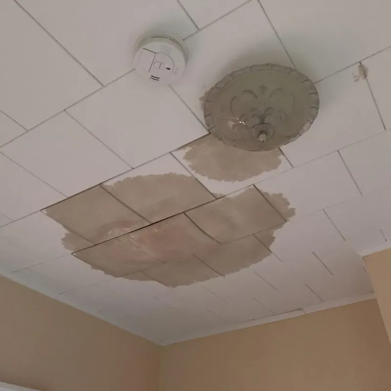 Ceiling Water Damage Repair in San Carlos Park, FL